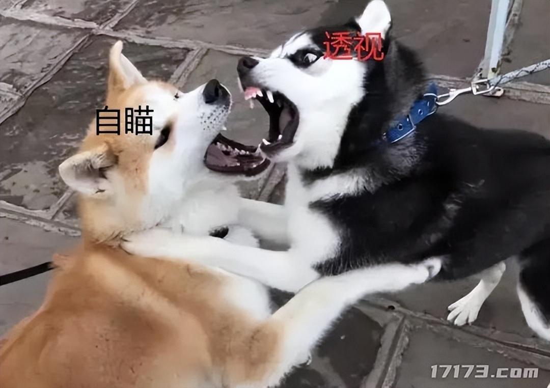 穿越火线免费外挂