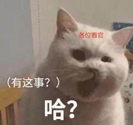 吃鸡透视自瞄