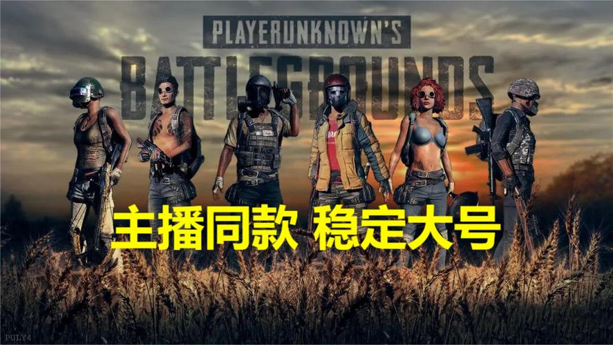 卡盟绝地求生辅助
